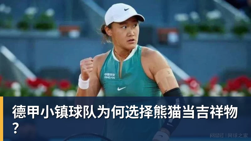 华体会体育德甲小镇球队为何选择熊猫当吉祥物？