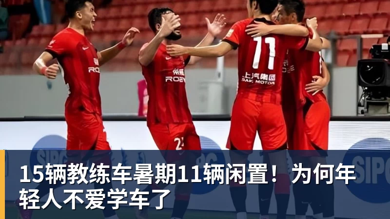 华体会体育15辆教练车暑期11辆闲置！为何年轻人不爱学车了